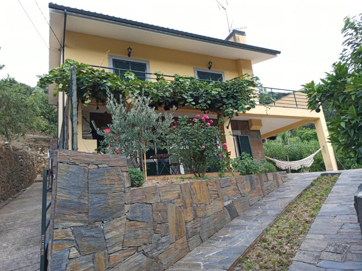 Vineyards Valley House Penajoia Extérieur photo