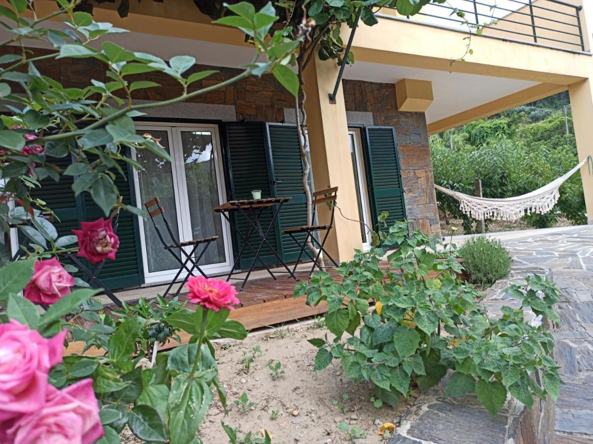 Vineyards Valley House Penajoia Extérieur photo